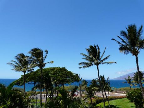 Maui Kamaole A214