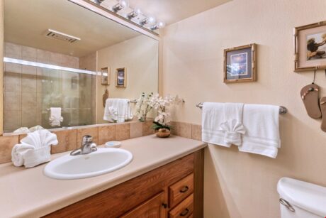 En Suite Bathroom - Take a soothing shower to start your next wonderful day in Maui. You have plenty of towels to use during your stay.