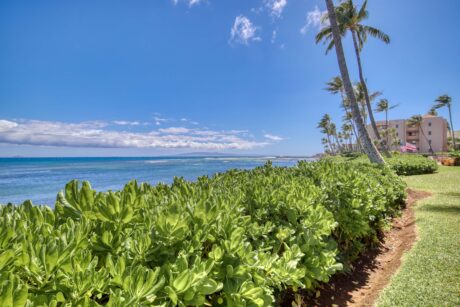 Island Sands 111 Maalaea Bay Maui