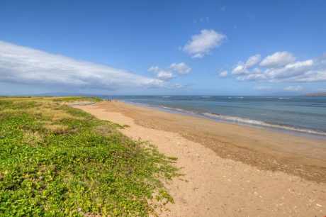 Beach Fun! - Kick off your shoes and stroll along the soft golden sand that fronts this resort. You'll forget your cares wading in the cool blue waters of South Maui.