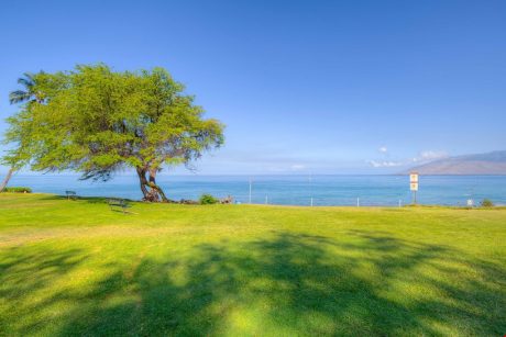 Pure Beauty - Kamaole Beach 1 features spacious lawn and recreation areas.