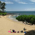 #205 Maui Beachfront Rentals