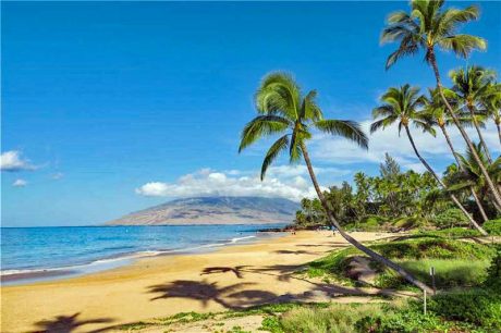Maui Vista (8)
