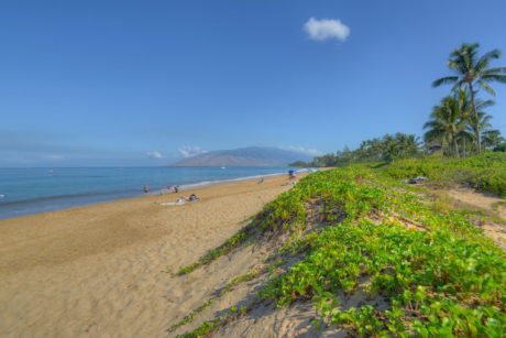 Enjoy the Beautiful Beaches - Natural sand dunes and spectacular views attract visitors from around the world to Kamaole Beach 1.