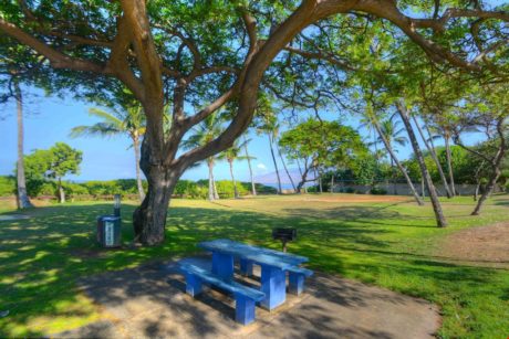 Don't Forget to Bring Snacks! - Pack a picnic or grill out at Kamaole Beach 1, with plenty of shade trees abound!