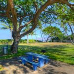 Family Bonding! - Pack a picnic or grill out at Kamaole Beach 1, with plenty of shade trees abound!