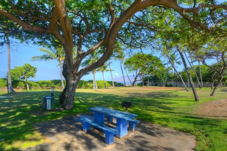 Family Bonding! - Pack a picnic or grill out at Kamaole Beach 1, with plenty of shade trees abound!