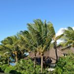 Palm Tree Paradise - Enjoy being surrounded by the tropical landscaping. You'll love watching the palm trees sway in the wind while you spend your time at the beach.