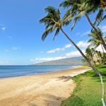 Beach Fun! - You will love the long stretch of beach outside of Nani Kai Hale! There's miles of soft golden sand to explore!