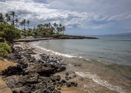 Shores of Maui is on the beach near Cove Park in Kihei.