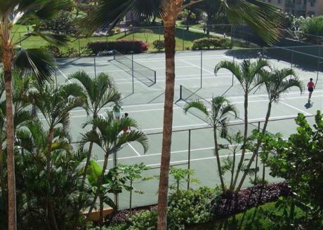 3 Tennis Court Areas