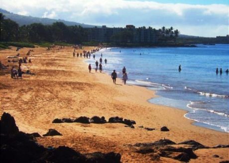 Kamaole Beaches, 1,2 &3 are all in walking distance
