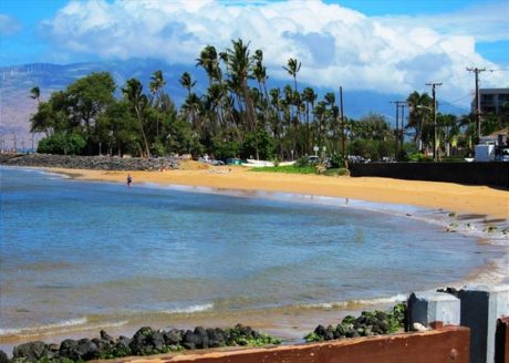 Kamaole Beach Park #1 is across the street from Maui Vista