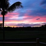 A pink sunset from our lanai, gorgeous!