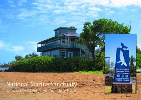 The Marine Sanctuary is across the street from Kihei Bay Vista