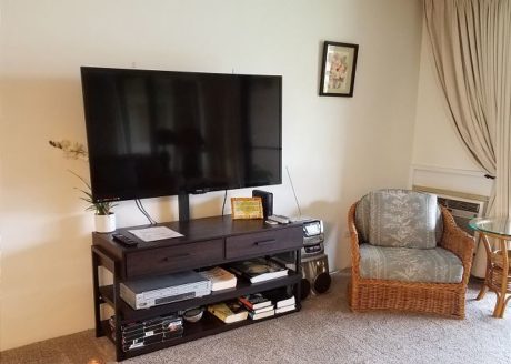 Large Flat-Screen TV in Living Room