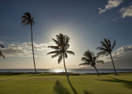 Maui Sunset Oceanfront Lawn