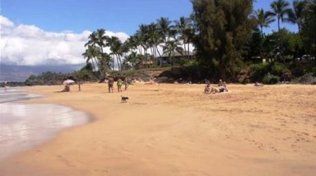 Charley Young Beach across the street from Maui Vista