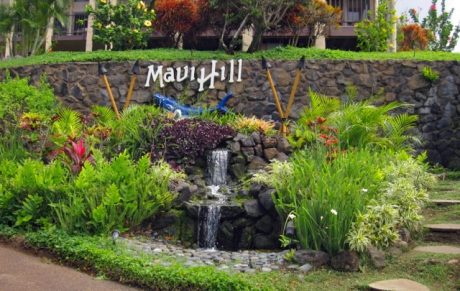 Maui Hill