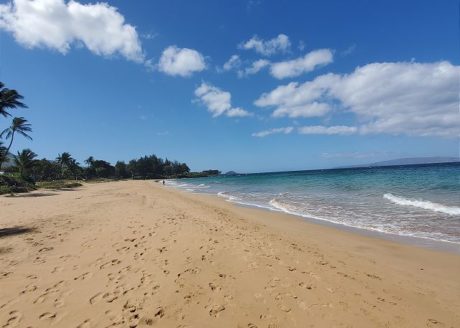 Kamaole Beach 2 Steps from Kihei Kai Nani