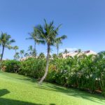 Palm Tree Paradise - Get lost in the beauty of nature! The palm trees are a lovely sight and bring a sense of peace to your vacation! Book Kamaole Sands 6-107 today!
