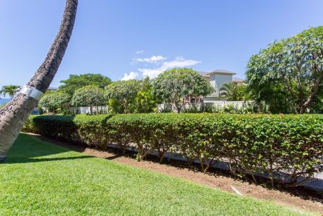 Well-Maintained Vacation Complex - The pools, trees and landscaping surrounding the complex are well maintained and beautiful to view. Walk the grounds and explore your personal paradise.