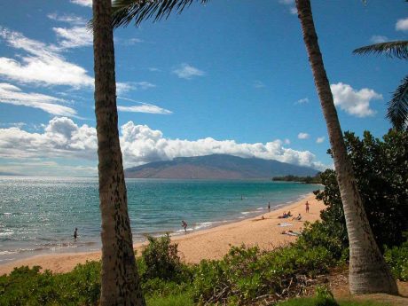 Kamaole Beach - Only 200 yards away is Kamaole I Beach, which has attentive life guards, restrooms, and outdoor shower facilities.