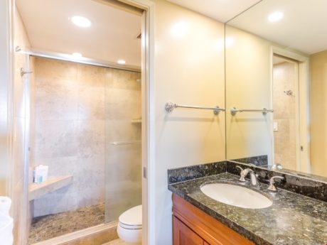 Pristine Bathrooms - Guest bathroom features renovated vanity and stand up shower.
