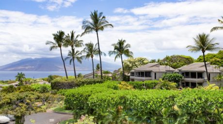 Pure Bliss - The only drawback to staying at Wailea Ekolu 1610 is that you may never want to leave!