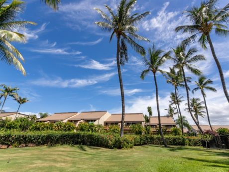 Manicured Lawn - You'll enjoy the beauty of the palm trees and blue skies!