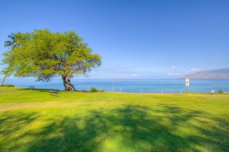 Toes in the Sand, Wind in Your Hair - Kamaole Beach 1 features spacious lawn and recreation areas.