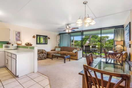 Family Room with a View - Enjoy sitting on the couch and playing a game of cards while listening to the breeze glide through the Hawai'i palms.