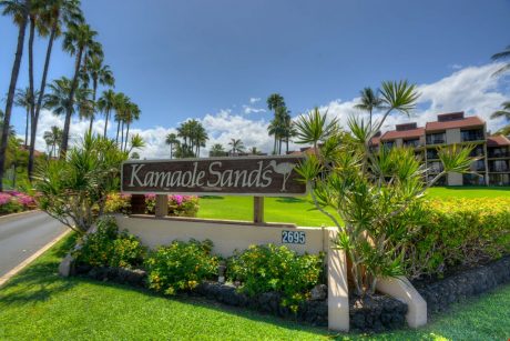 Welcome To Kamaole Sands! - The beach is your backyard here at Kamaole Sands! Leave your mainland worries behind and escape in your Hawaiian getaway!