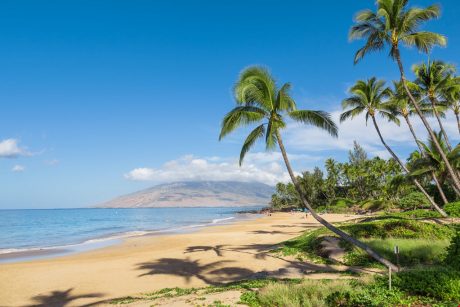 Maui Beaches - With over 120 miles of coastline, Maui is home to some of the worlds top rated beaches and views.