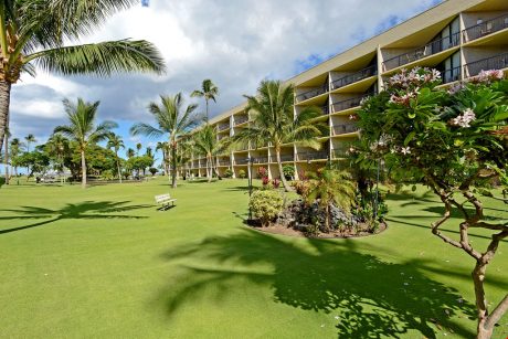 The Great Outdoors - Relax in the lush green nature of beautiful Maui or take a walk to the beach!