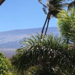 View of Haleakala from Unit #250