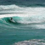 Surf Board Rentals Nearby