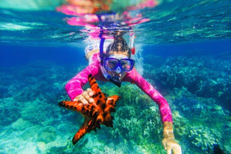 Take A Dive - If you don’t know how to snorkel, here’s your chance to learn!