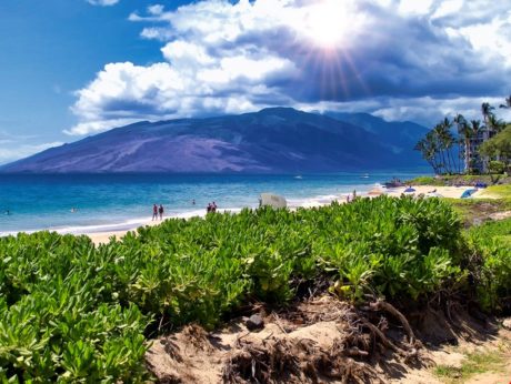 Amazing Views! - Kamaole Beach 2 boasts beautiful views of the West Maui Mountains, natural sand dunes, and nearby restaurants.
