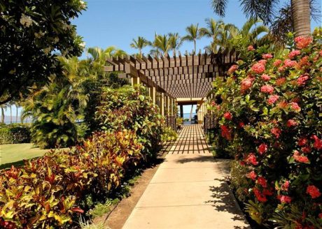 Explore Your Paradise – You’ll want to be sure to explore the amazing grounds of the Wailea Ekahi resort. There is breathtaking beauty at each turn.
