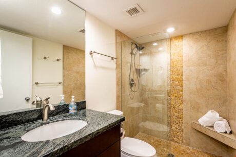Elegant Guest Bathroom - With their own private bathroom, your guests will enjoy the same luxury as you do. It’s so nice to have multiple bathrooms!