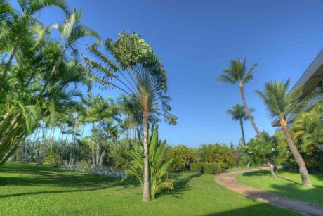 Walk the Grounds - You’ll want to explore the many interesting and beautiful plants and flowers you’ll find throughout the meticulously maintained Maui Banyan grounds.