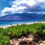Enjoy our beautiful beach! - Kamaole 2 boasts beautiful views of the West Maui Mountains, natural sand dunes, and nearby restaurants.