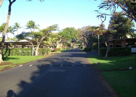 Pualei Drive