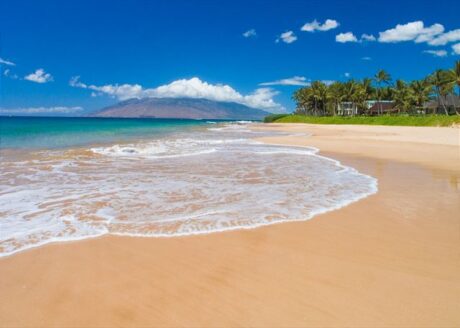 Grab your shades - Kick back, and soak up the warm Hawaiian sunshine.