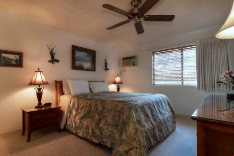 A King's Suite - A ceiling fan, flat-screen television, and a king-size bed are perfect for a great night sleep and lots of space.