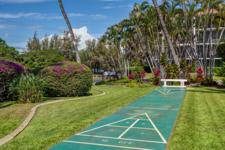 Shuffleboard is the answer - Looking for a leisurely game after your afternoon nap? Shuffleboard is the answer. It's a great family activity and it's onsite!
