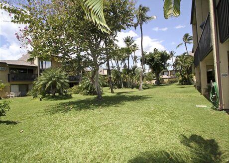 Interior lawn of Kihei Garden Estates