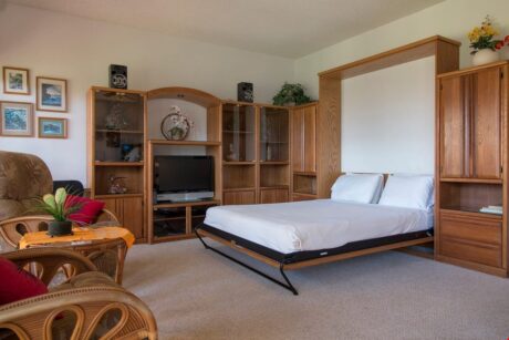 No Sleeper Sofas Here! - No need to sleep on a couch. Your guests will love having a Queen murphy bed instead!