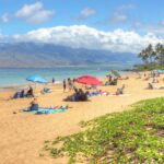 Maui Banyan Q408 Kihei